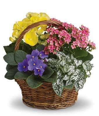 Summer Floral Basket